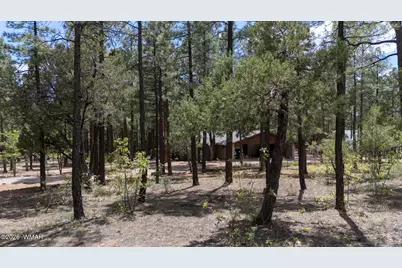 3557 Oakview Lane, Lakeside, AZ 85929 - Photo 50