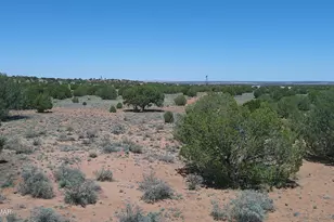 30 N9220, Concho, AZ 85924 - Photo 72