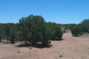 30 N9220, Concho, AZ 85924 - Photo 68