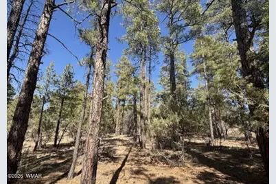 4790 W Hawthorn Road, Show Low, AZ 85901 - Photo 6