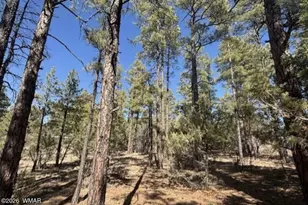 4790 W Hawthorn Rd, Show Low, AZ 85901 - Photo 6