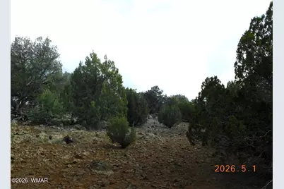 2122 Dawn Place, Show Low, AZ 85901 - Photo 8