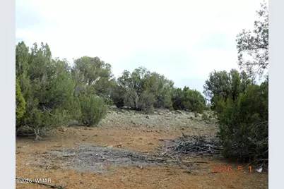 2122 Dawn Place, Show Low, AZ 85901 - Photo 6