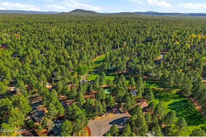 4903 Cardinal Court, Pinetop, AZ 85935 - Photo 50