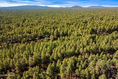 7456 Geronimo Road, Pinetop, AZ 85935 - Photo 34
