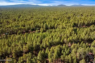 7456 Geronimo Rd, Pinetop, AZ 85935 - Photo 34