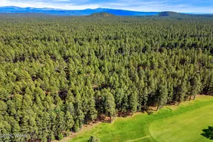7456 Geronimo Rd, Pinetop, AZ 85935 - Photo 32