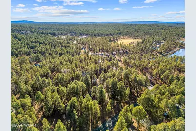 625 E Woodland Lake Road, Pinetop, AZ 85935 - Photo 58