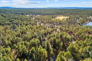 625 E Woodland Lake Rd, Pinetop, AZ 85935 - Photo 58