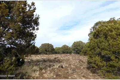 10 County Road N 3071, Vernon, AZ 85940 - Photo 8