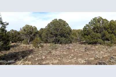 10 County Road N 3071, Vernon, AZ 85940 - Photo 2