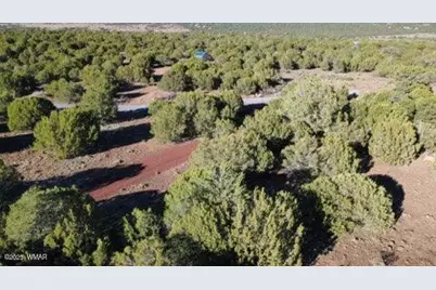 10 County Road N 3071, Vernon, AZ 85940 - Photo 2