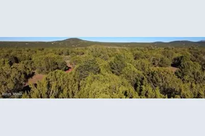 10 County Road N 3071, Vernon, AZ 85940 - Photo 20