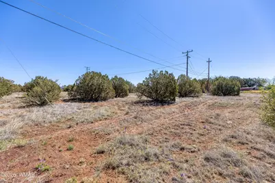 1793 Cox Drive, Show Low, AZ 85901 - Photo 10
