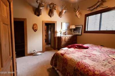 3401 W Blazingstar Road, Show Low, AZ 85901 - Photo 20