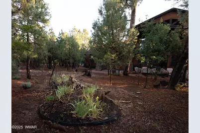 3401 W Blazingstar Road, Show Low, AZ 85901 - Photo 46