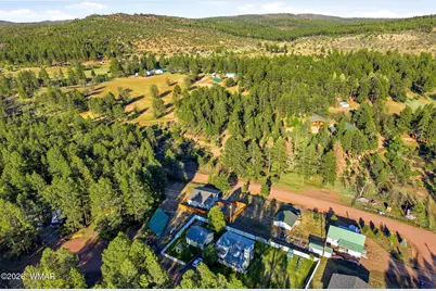 588 Rim Road, Pinedale, AZ 85934 - Photo 24