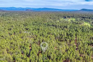 3263 Wild Rose Ln, Pinetop, AZ 85935 - Photo 32