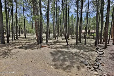2682 Brahma Circle, Pinetop, AZ 85935 - Photo 1