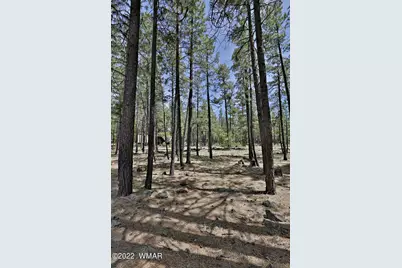 2682 Brahma Circle, Pinetop, AZ 85935 - Photo 2