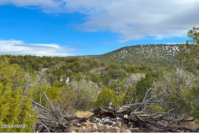 0 W Elkhorn Pass 36 Acres, Seligman, AZ 86337 - Photo 4
