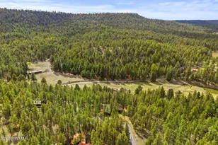 3 Acr 1029, Greer, AZ 85927 - Photo 14