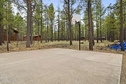 3 Acr 1029, Greer, AZ 85927 - Photo 12