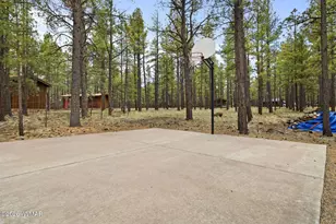 3 Acr 1029, Greer, AZ 85927 - Photo 12