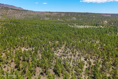 16 N2240, Nutrioso, AZ 85932 - Photo 8