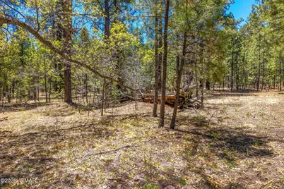 16 N2240, Nutrioso, AZ 85932 - Photo 16