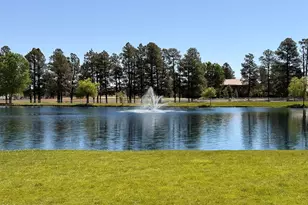2334 N Buffalo Loop, Overgaard, AZ 85933 - Photo 24