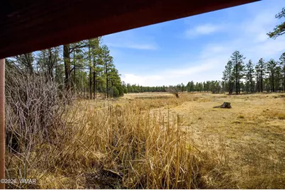 1358 W Big Springs Trail, Lakeside, AZ 85929 - Photo 26