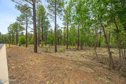 1358 W Big Springs Trail, Lakeside, AZ 85929 - Photo 6