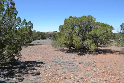 Tbd N8604, Concho, AZ 85924 - Photo 6