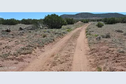 Tbd N8604, Concho, AZ 85924 - Photo 1