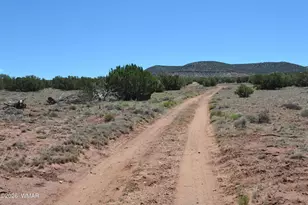 Tbd N8604, Concho, AZ 85924 - Photo 1