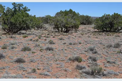 Tbd N8604, Concho, AZ 85924 - Photo 12