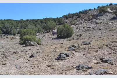 32 N8440, Concho, AZ 85924 - Photo 4