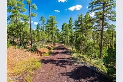 Tbd E Ellsworth, Show Low, AZ 85901 - Photo 6