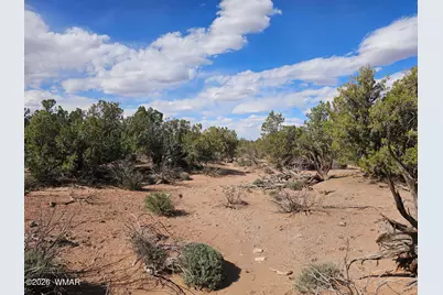 3945 Valley Road, Snowflake, AZ 85937 - Photo 8