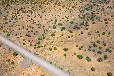 Tbd County Road 8643, Concho, AZ 85924 - Photo 12