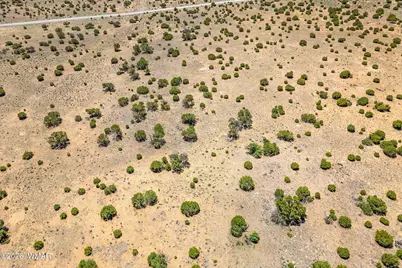 Tbd County Road 8643, Concho, AZ 85924 - Photo 10