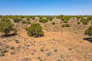 Tbd County Road 8643, Concho, AZ 85924 - Photo 1
