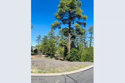 1900 S Silvertree Lane, Show Low, AZ 85901 - Photo 4