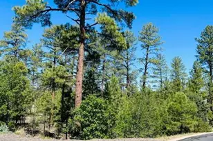 1900 S Silvertree Ln, Show Low, AZ 85901 - Photo 1