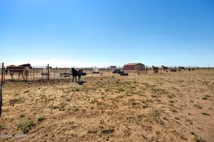 80 L K Ranch Rd, Adamana, AZ 86028 - Photo 24