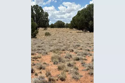 15 Pine Drive, Concho, AZ 85924 - Photo 1