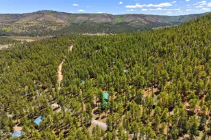48 N 1068 St, Greer, AZ 85927 - Photo 32