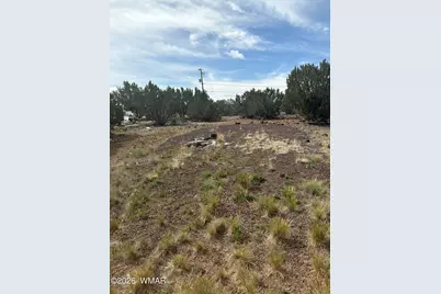 8547 Antelope Drive, Show Low, AZ 85901 - Photo 4