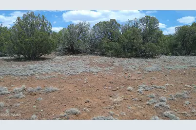 74 Co Road, Concho, AZ 85924 - Photo 4